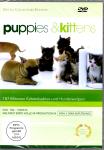 Puppies & Kittens (Hunde & Katzenwelpen) 