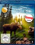 Wunder Des Waldes (Doku) 