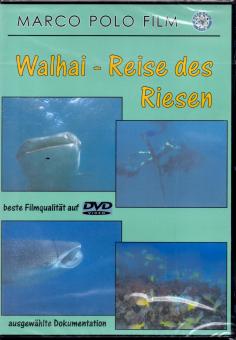 Walhai - Reise Des Riesen 